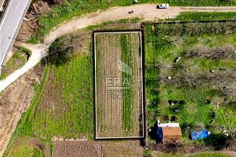 BALIKESİR BÜYÜKBOSTANCI'DA ANA YOLA YAKIN SATILIK TARLA