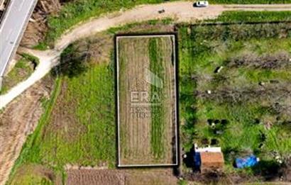 BALIKESİR BÜYÜKBOSTANCI'DA ANA YOLA YAKIN SATILIK TARLA