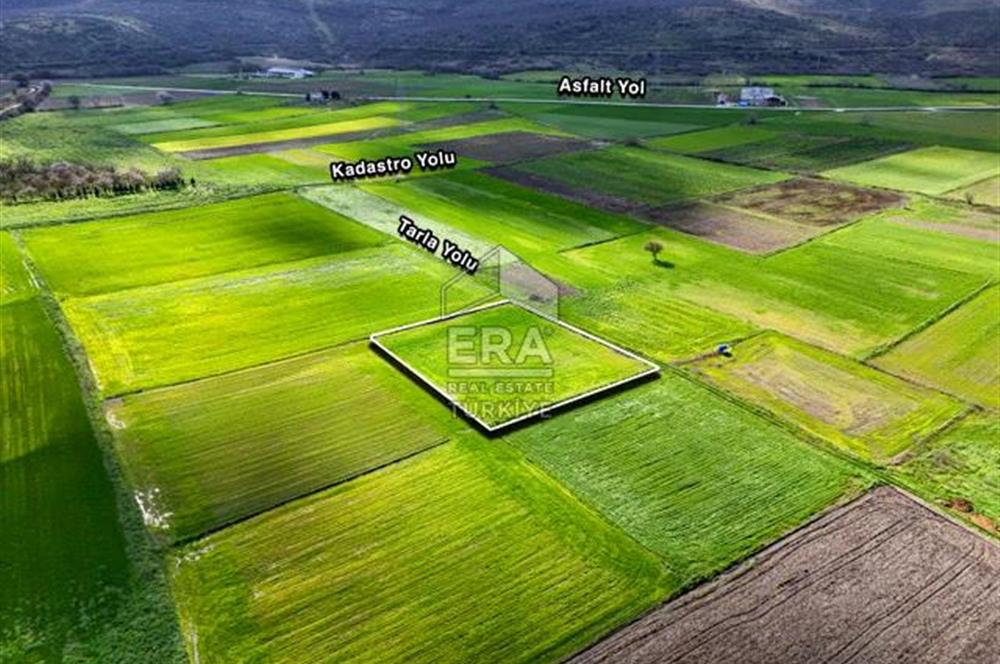 ERA SÖZ DEN BALIKESİR BÜYÜKBOSTANCI'DA 3105 m² SATILIK TARLA