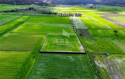 ERA SÖZ DEN BALIKESİR BÜYÜKBOSTANCI'DA 3105 m² SATILIK TARLA