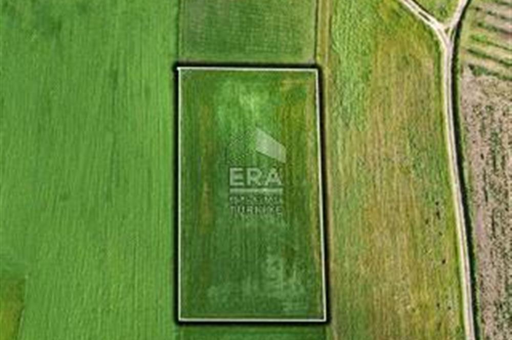 BALIKESİR BÜYÜKBOSTANCI'DA 3496 m² SATILIK TARLA