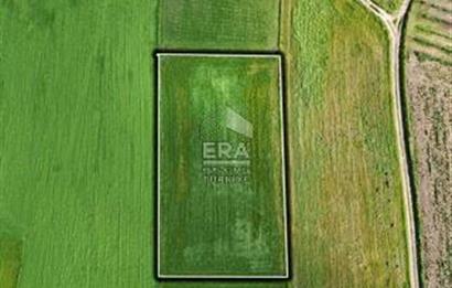 BALIKESİR BÜYÜKBOSTANCI'DA 3496 m² SATILIK TARLA