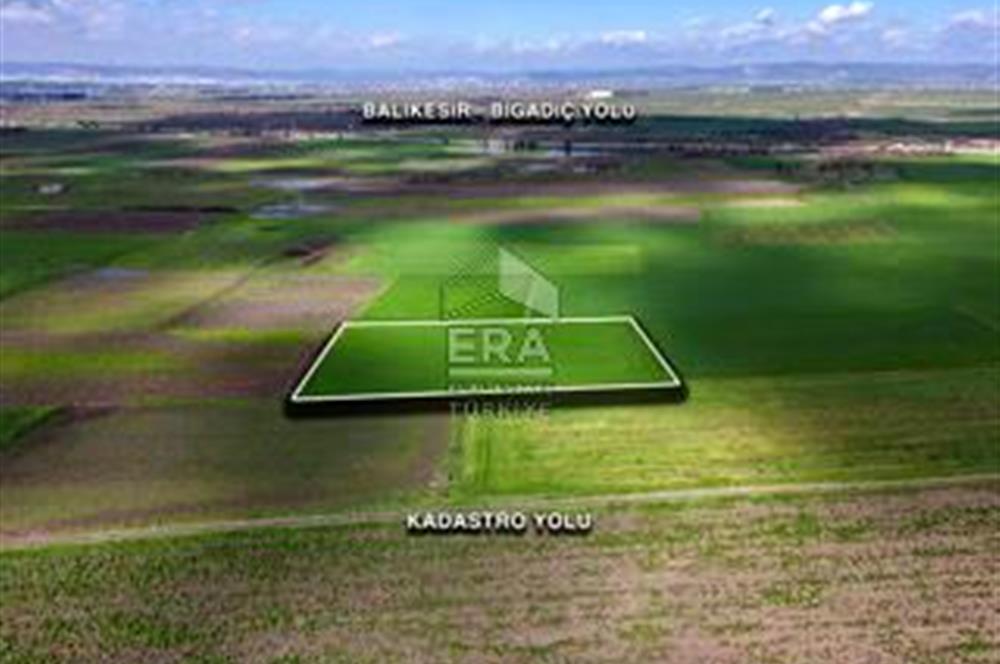 BALIKESİR BÜYÜKBOSTANCI'DA 3496 m² SATILIK TARLA