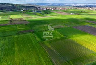 ERA SÖZ DEN BALIKESİR BÜYÜKBOSTANCI'DA 3105 m² SATILIK TARLA - 1 - 14658