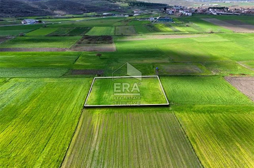 ERA SÖZ DEN BALIKESİR BÜYÜKBOSTANCI'DA 3105 m² SATILIK TARLA