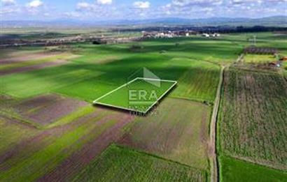 BALIKESİR BÜYÜKBOSTANCI'DA 3496 m² SATILIK TARLA