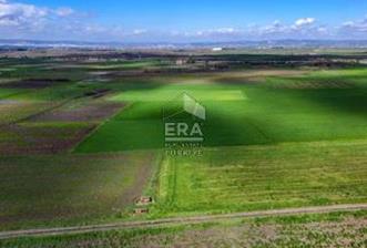 BALIKESİR BÜYÜKBOSTANCI'DA 3496 m² SATILIK TARLA - 2 - 14653