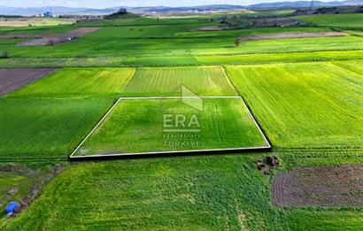 ERA SÖZ DEN BALIKESİR BÜYÜKBOSTANCI'DA 3105 m² SATILIK TARLA