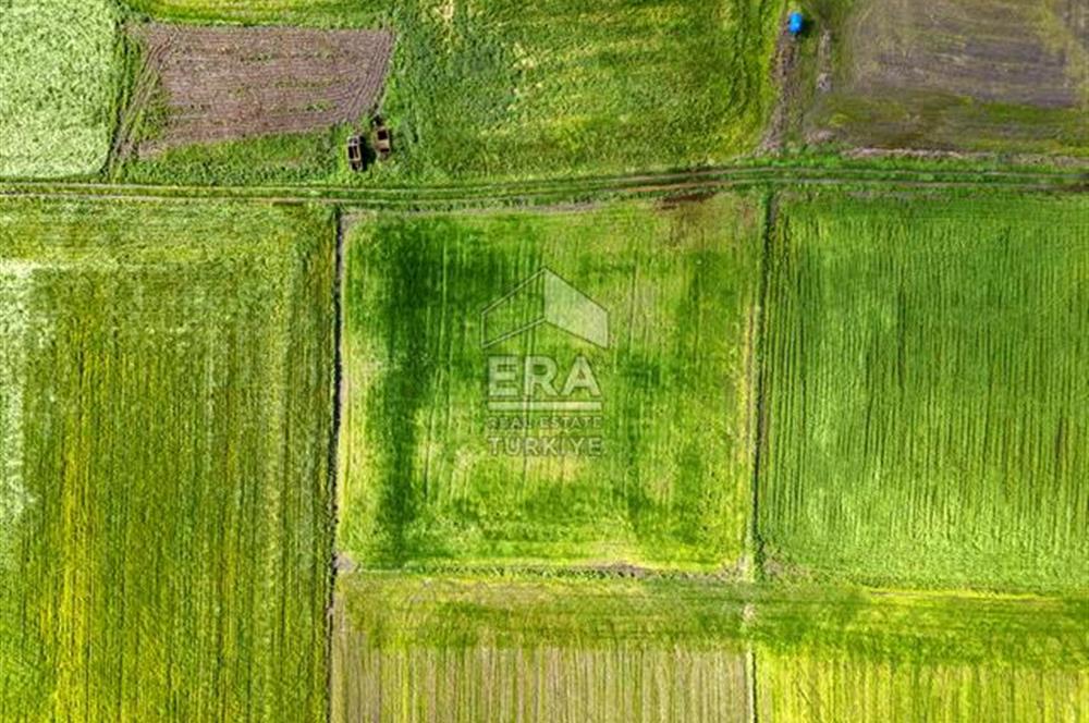 ERA SÖZ DEN BALIKESİR BÜYÜKBOSTANCI'DA 3105 m² SATILIK TARLA