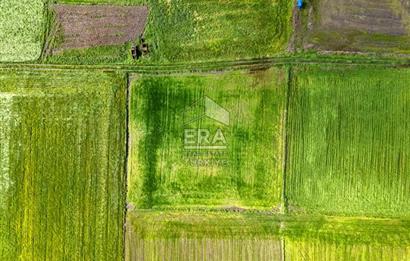 ERA SÖZ DEN BALIKESİR BÜYÜKBOSTANCI'DA 3105 m² SATILIK TARLA