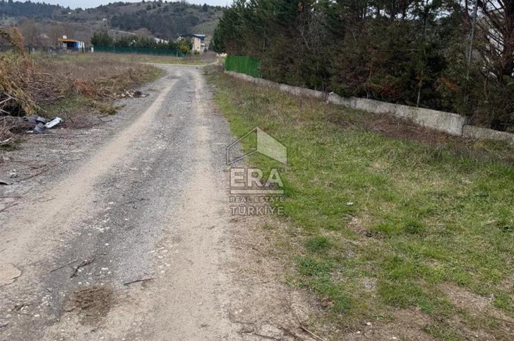 şile kurfallıda mustakil ev ve bahce 