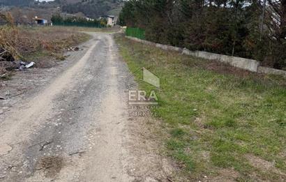 şile kurfallıda mustakil ev ve bahce 