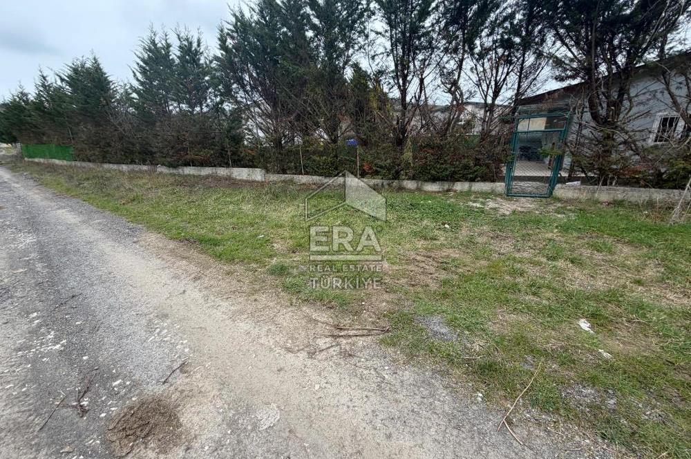 şile kurfallıda mustakil ev ve bahce 