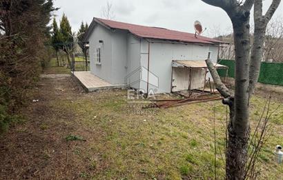 şile kurfallıda mustakil ev ve bahce 