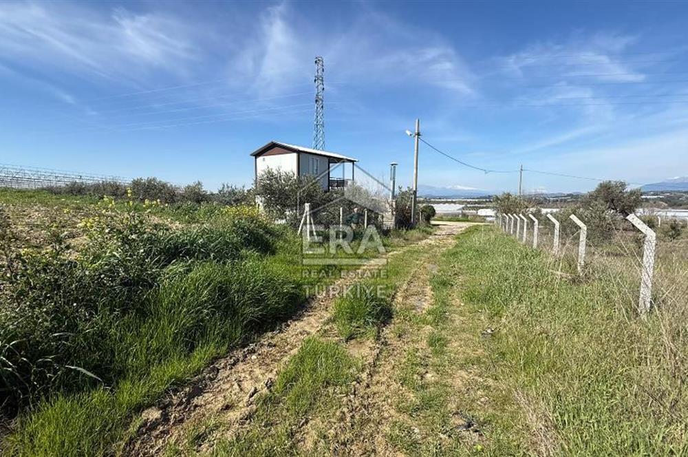 MANAVGAT YAVRUDOĞAN MAHALLESİ SATILIK TEK TAPU 4600 m2 TARLA