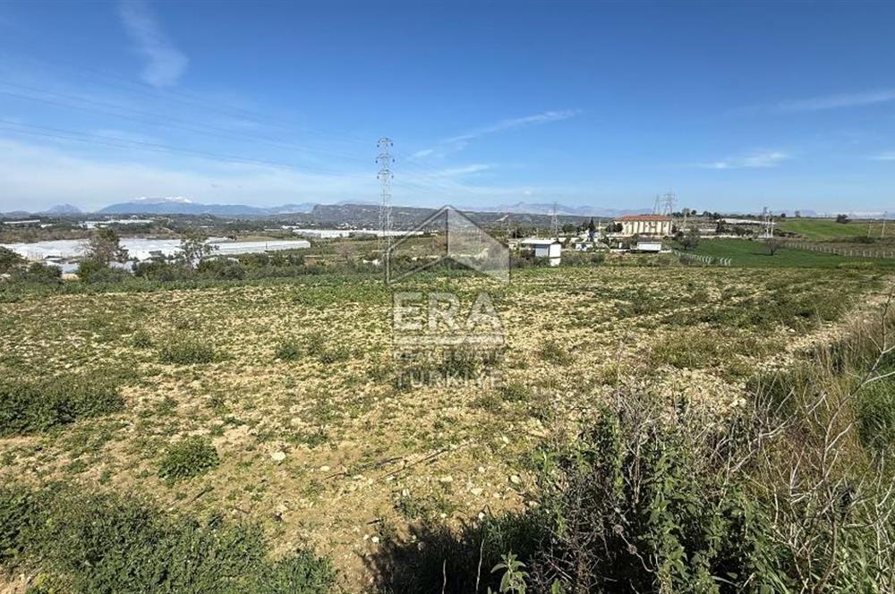 MANAVGAT YAVRUDOĞAN MAHALLESİ SATILIK TEK TAPU 9600 m2 TARLA