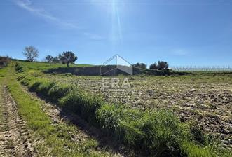 MANAVGAT YAVRUDOĞAN MAHALLESİ SATILIK TEK TAPU 9600 m2 TARLA - 9 - 14694