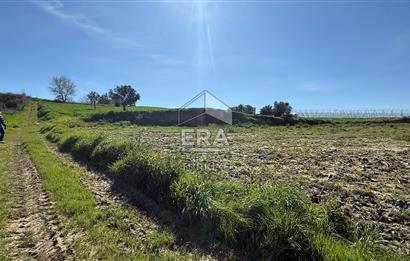 MANAVGAT YAVRUDOĞAN MAHALLESİ SATILIK TEK TAPU 9600 m2 TARLA