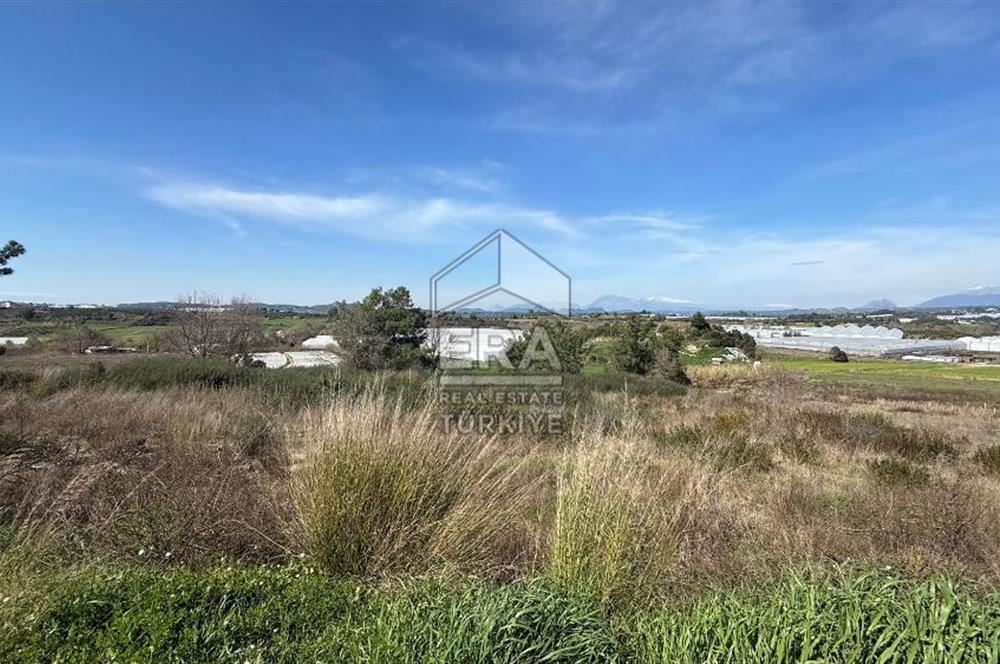 MANAVGAT YAVRUDOĞAN MAHALLESİ SATILIK TEK TAPU 3500 m2 TARLA