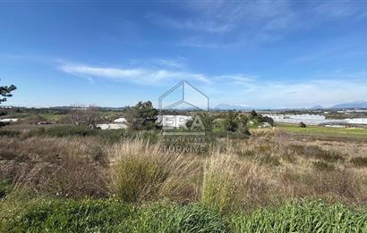 MANAVGAT YAVRUDOĞAN MAHALLESİ SATILIK TEK TAPU 3500 m2 TARLA