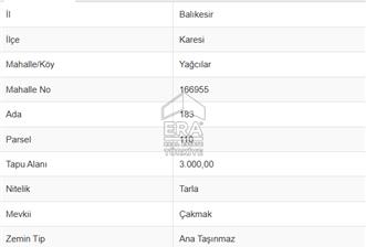 ERA PORT GÜVENCESİYLE BALIKESİR YAĞCILAR KÖYÜ 3000M2 TARLA - 1 - 14734