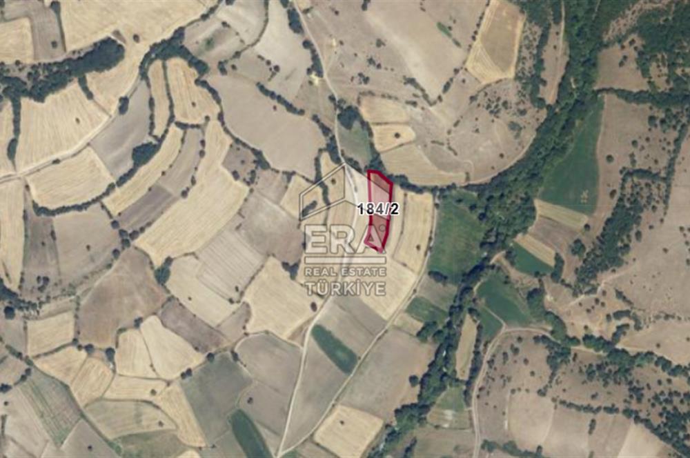 ERA PORT GÜVENCESİYLE BALIKESİR YAĞCILAR KÖYÜ3800m²SATILIK TARLA