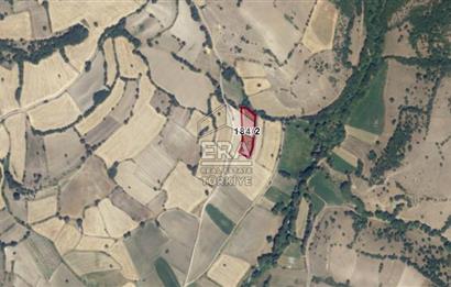 ERA PORT GÜVENCESİYLE BALIKESİR YAĞCILAR KÖYÜ3800m²SATILIK TARLA