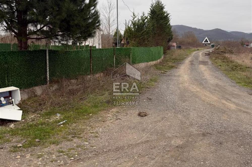 şile kurfallıda mustakil ev ve bahce 