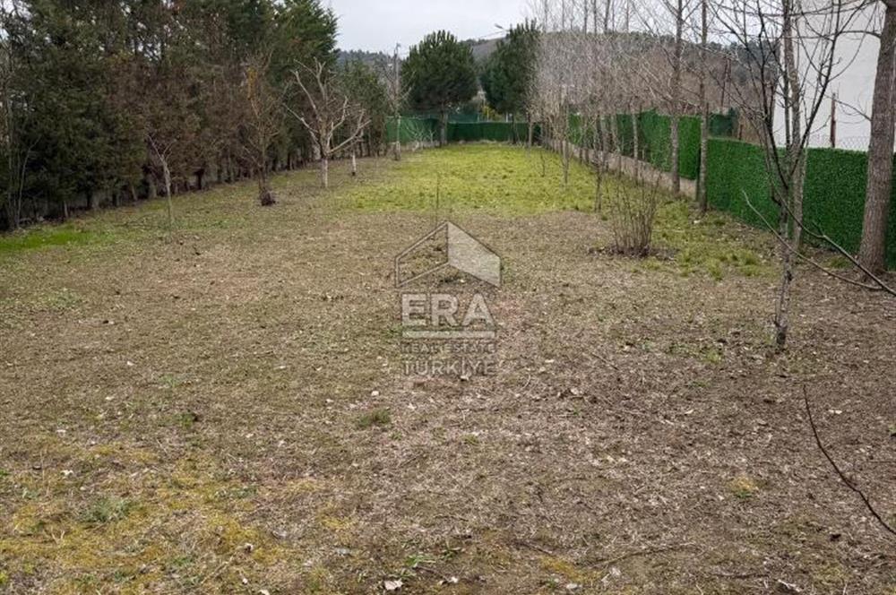 şile kurfallıda mustakil ev ve bahce 