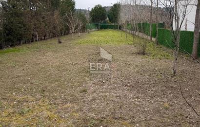 şile kurfallıda mustakil ev ve bahce 