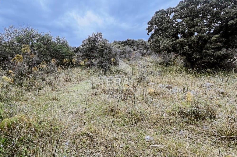 BODRUM BİTEZ’DE DENİZ MANZARALI SATILIK TARLA