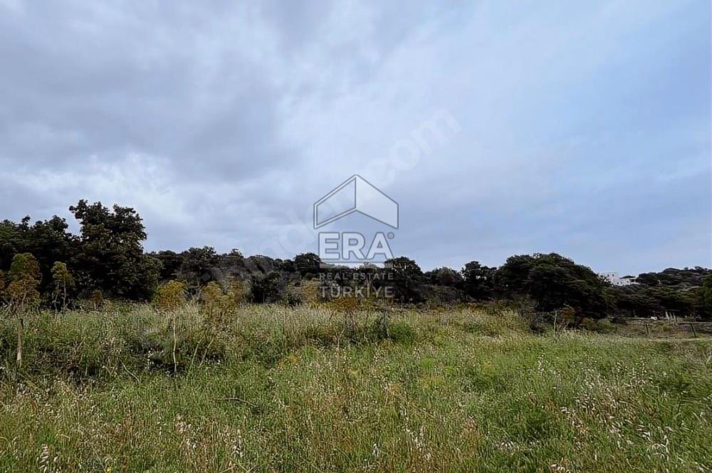 BODRUM BİTEZ’DE DENİZ MANZARALI SATILIK TARLA
