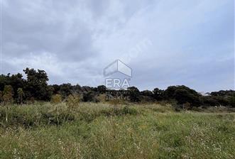 BODRUM BİTEZ’DE DENİZ MANZARALI SATILIK TARLA - 6 - 14774