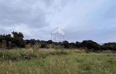 BODRUM BİTEZ’DE DENİZ MANZARALI SATILIK TARLA