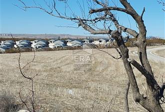 GÖLBAŞI'NDA YATIRIMA UYGUN TEK TAPU SATILIK 7 DÖNÜM TARLA  - 3 - 14743