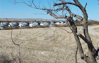 GÖLBAŞI'NDA YATIRIMA UYGUN TEK TAPU SATILIK 7 DÖNÜM TARLA 