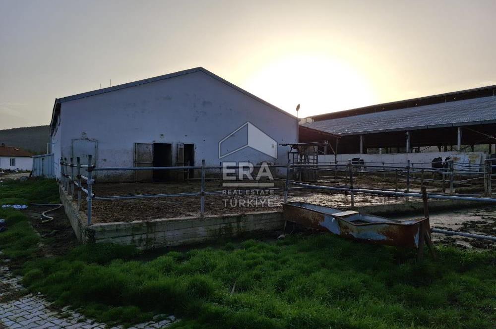 DURSUNBEY'DE SATILIK ÇİFTLİK ERA SÖZ GAYRİMENKUL