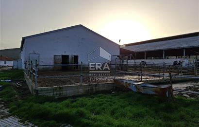 DURSUNBEY'DE SATILIK ÇİFTLİK ERA SÖZ GAYRİMENKUL