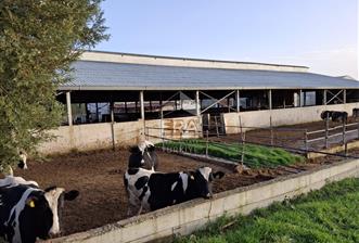 DURSUNBEY'DE SATILIK ÇİFTLİK ERA SÖZ GAYRİMENKUL - 1 - 14755