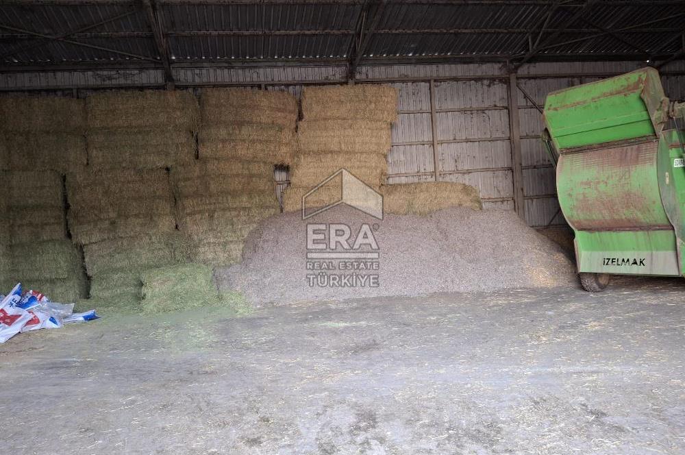 DURSUNBEY'DE SATILIK ÇİFTLİK ERA SÖZ GAYRİMENKUL