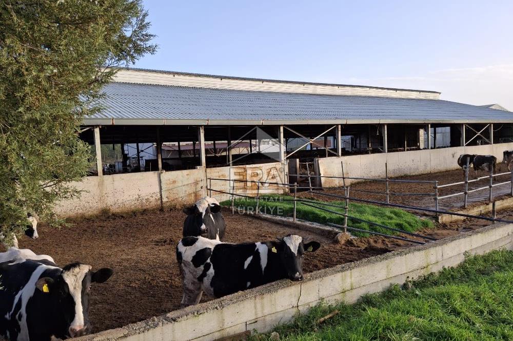 DURSUNBEY'DE SATILIK ÇİFTLİK ERA SÖZ GAYRİMENKUL