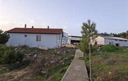 DURSUNBEY'DE SATILIK ÇİFTLİK ERA SÖZ GAYRİMENKUL