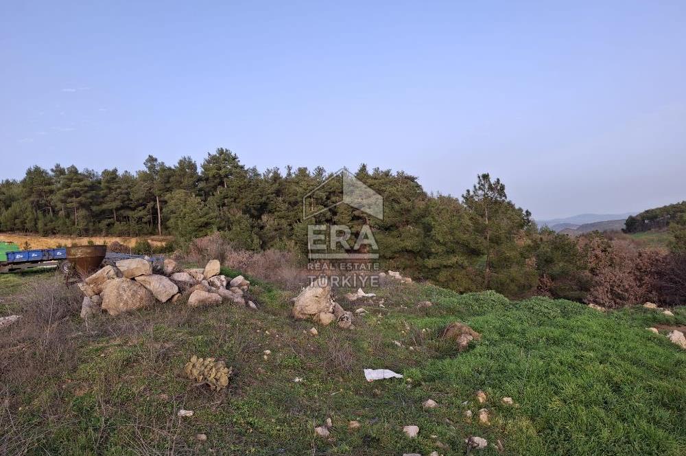 DURSUNBEY'DE SATILIK ÇİFTLİK ERA SÖZ GAYRİMENKUL