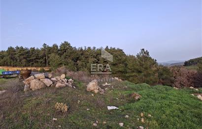 DURSUNBEY'DE SATILIK ÇİFTLİK ERA SÖZ GAYRİMENKUL