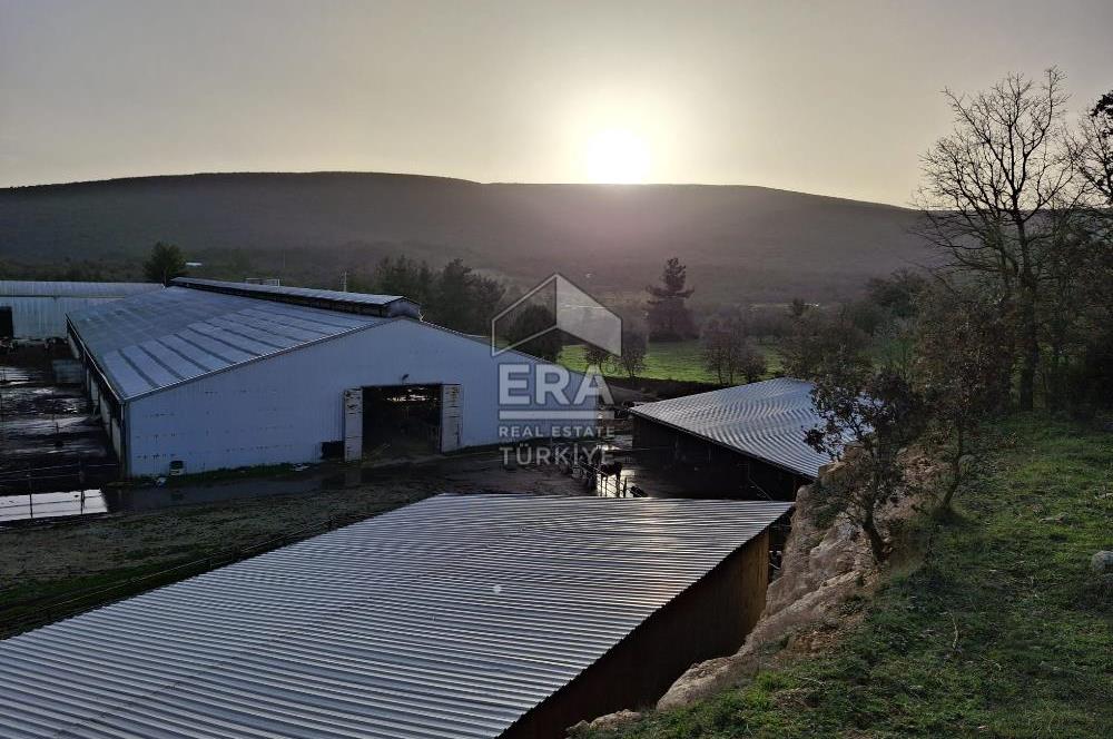 DURSUNBEY'DE SATILIK ÇİFTLİK ERA SÖZ GAYRİMENKUL