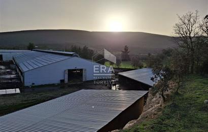 DURSUNBEY'DE SATILIK ÇİFTLİK ERA SÖZ GAYRİMENKUL