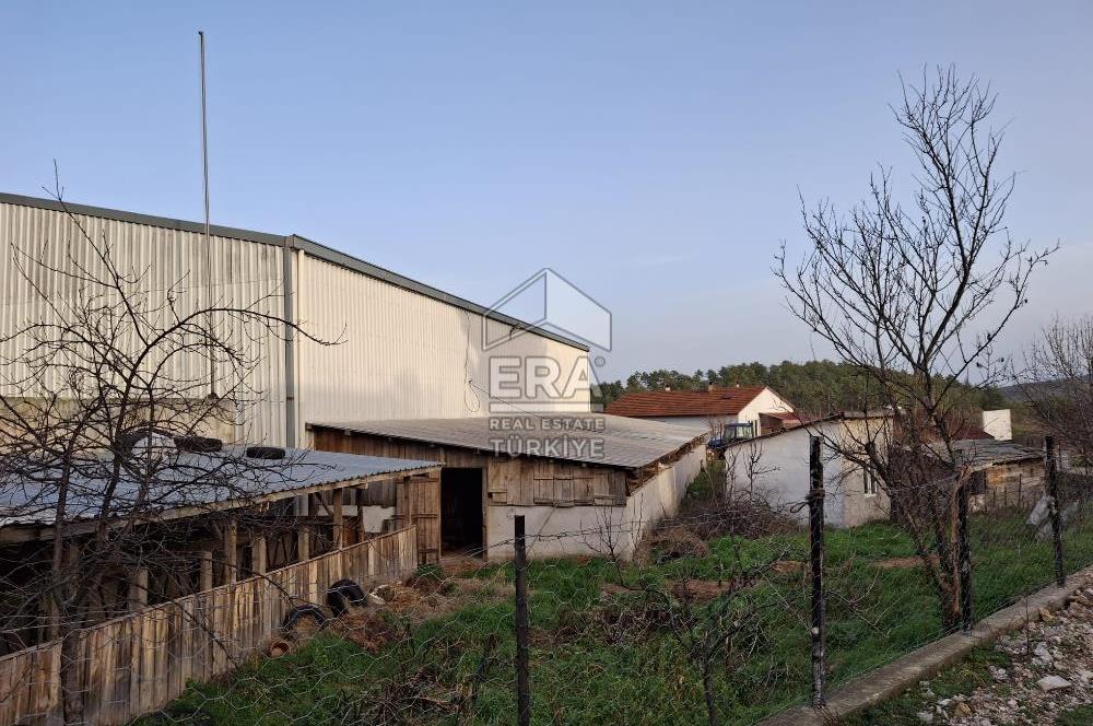 DURSUNBEY'DE SATILIK ÇİFTLİK ERA SÖZ GAYRİMENKUL