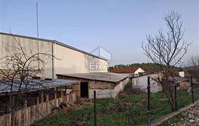 DURSUNBEY'DE SATILIK ÇİFTLİK ERA SÖZ GAYRİMENKUL