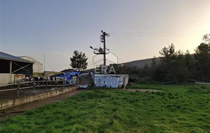 DURSUNBEY'DE SATILIK ÇİFTLİK ERA SÖZ GAYRİMENKUL