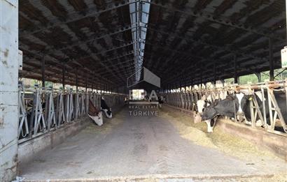 DURSUNBEY'DE SATILIK ÇİFTLİK ERA SÖZ GAYRİMENKUL